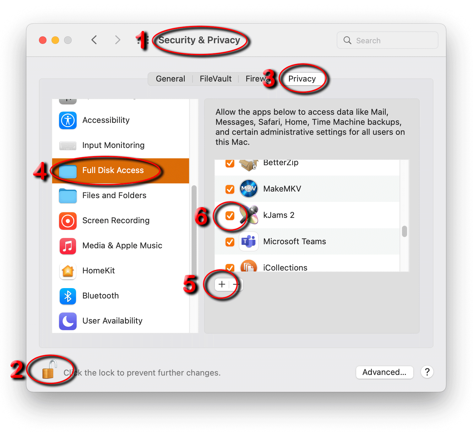 full-disk-access.png